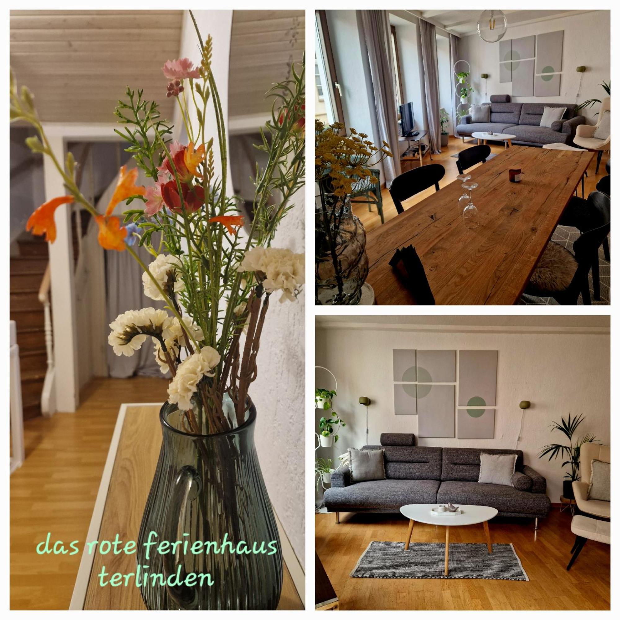 Das Rote Ferienhaus Terlinden Лизер Экстерьер фото